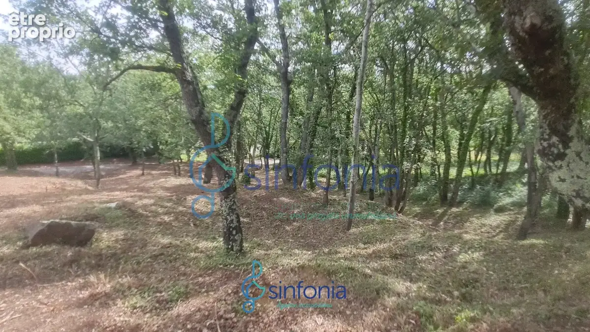 Terrain constructible à vendre à Pougnadoresse Gard 30 Occitanie - photo 11