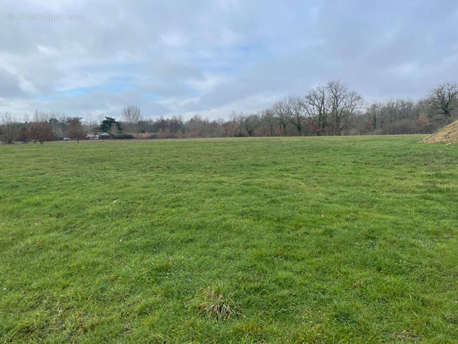 Terrain à SAINT-MARTIN-DE-GURSON