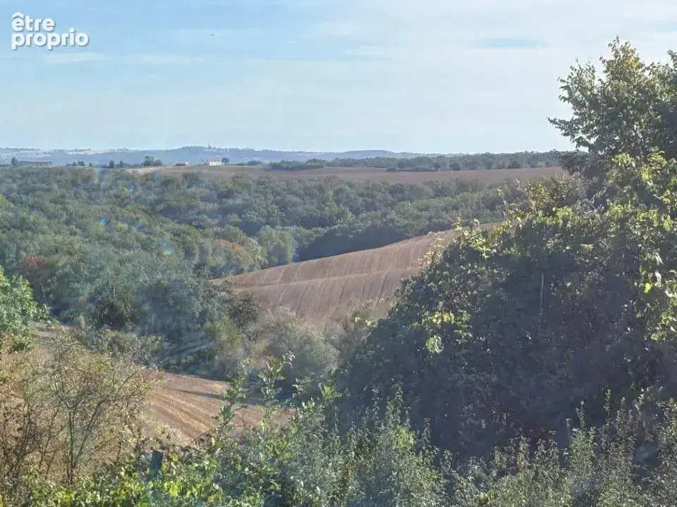 Photo Terrain à Le Born au prix de 52 000€