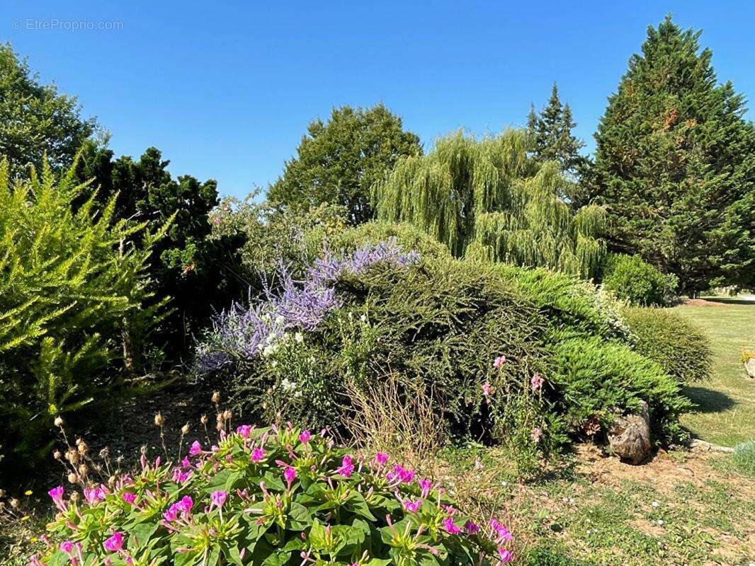 Maison traditionnelle sur 4500m² clos - photo 14