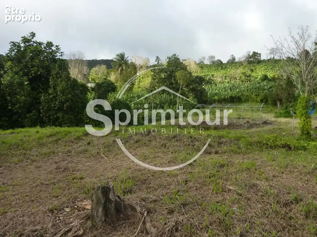 GOURBEYRE Terrain de 1200m2 - photo 2