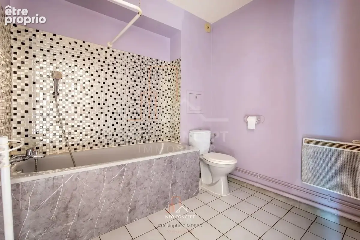 HAGUENAU un 2 pièces au rez-de-chaussée A VISITER ABSOLUMENT !!! - photo 7