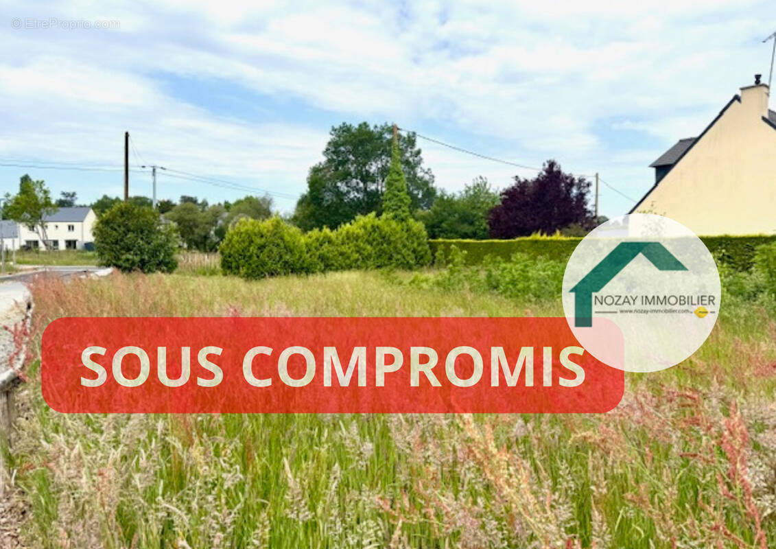 Terrain à NOZAY