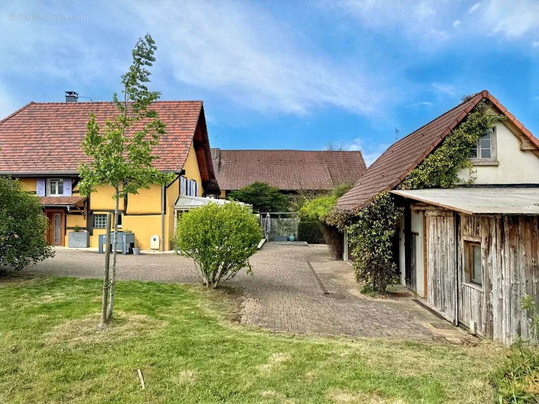 BRÉCHAUMONT - Grande propriété alsacienne avec piscine - photo 3
