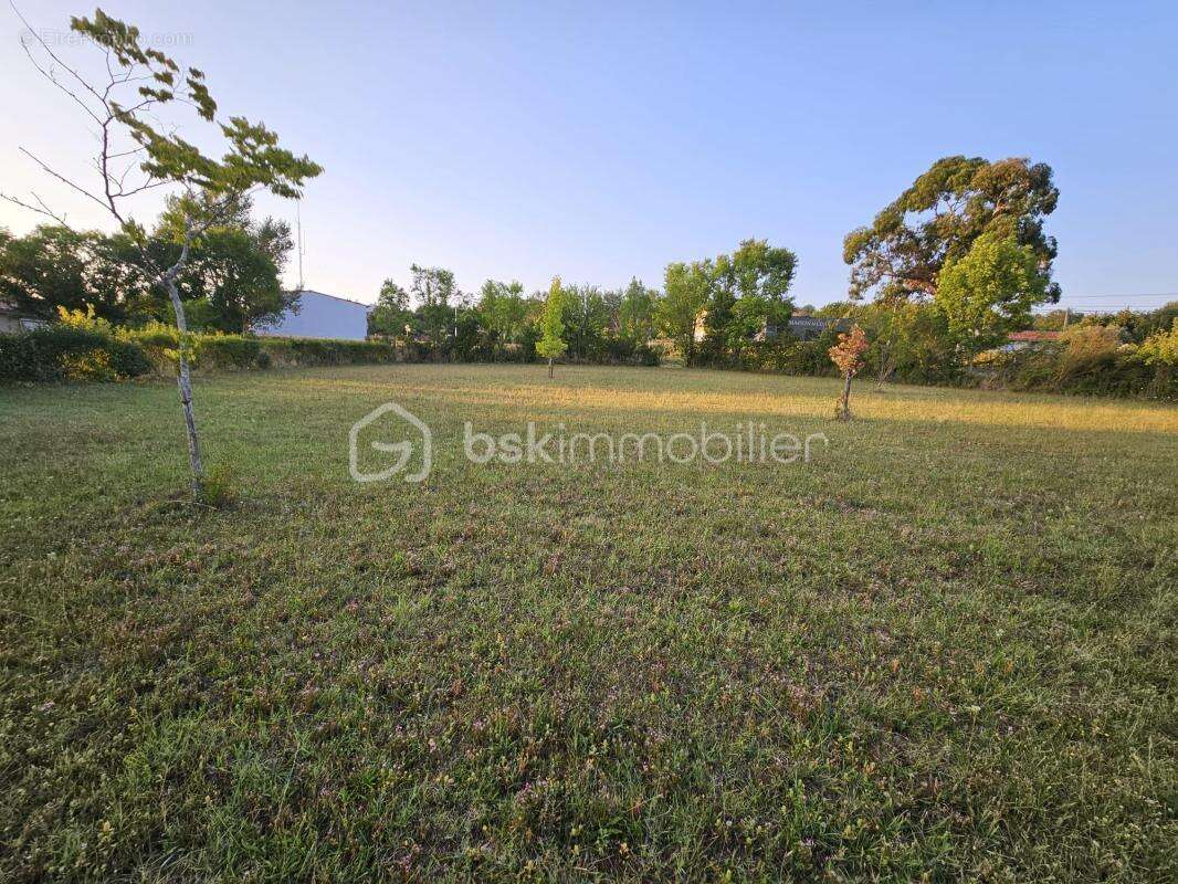 Terrain à SAINT-PUY