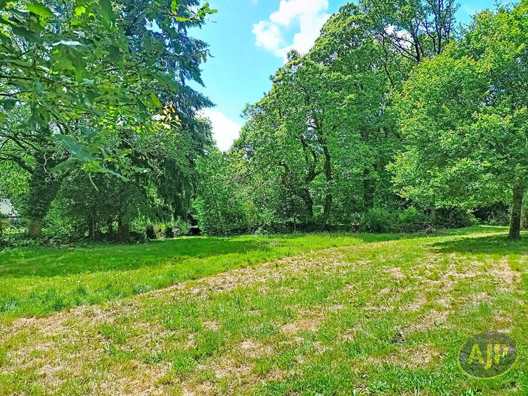 Terrain à PLUHERLIN