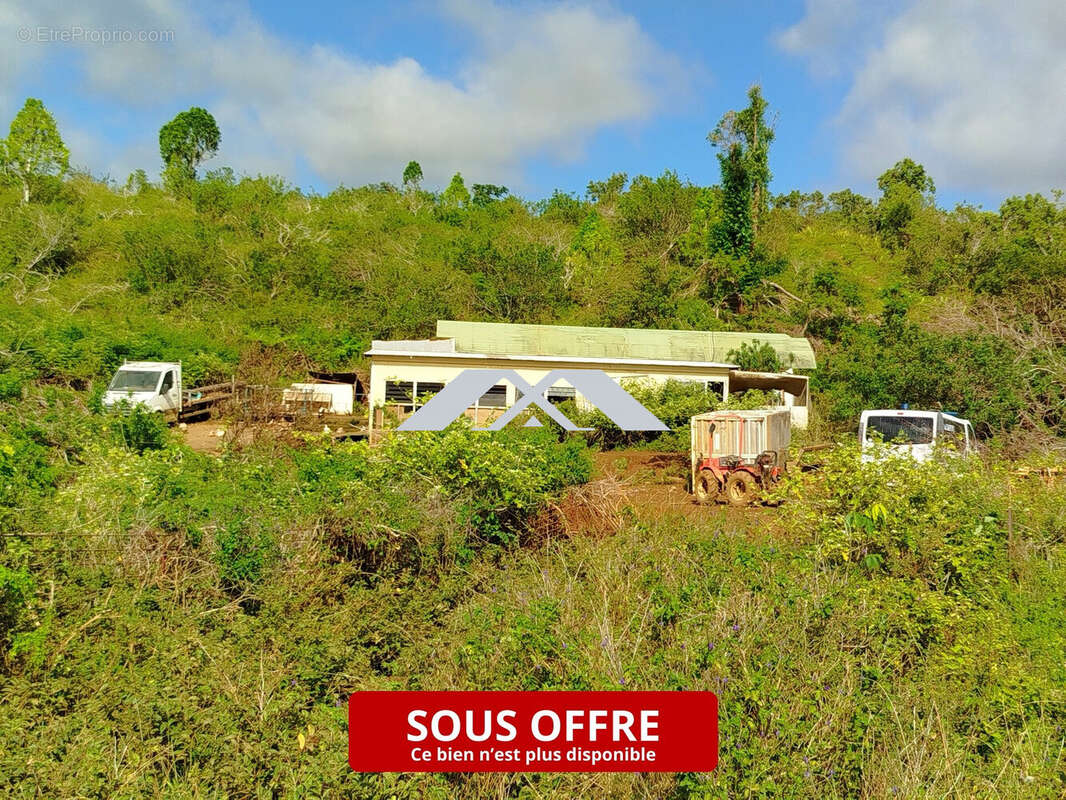 Terrain à SAINT-BENOIT