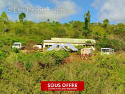 Terrain à SAINT-BENOIT