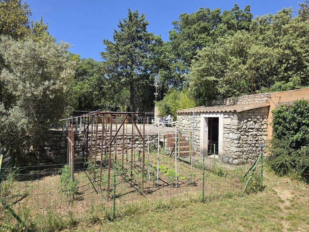Photo 4 - Maison à MONTPELLIER