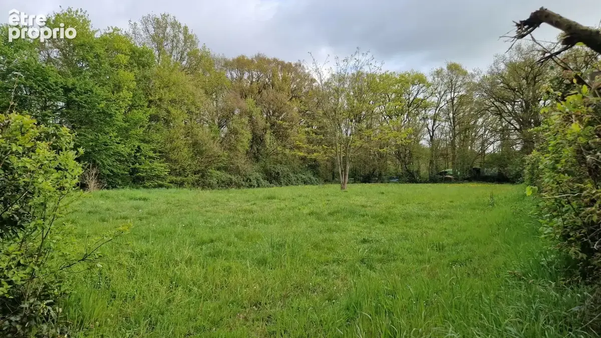 Terrain à SAINT-LEGER-DES-BOIS
