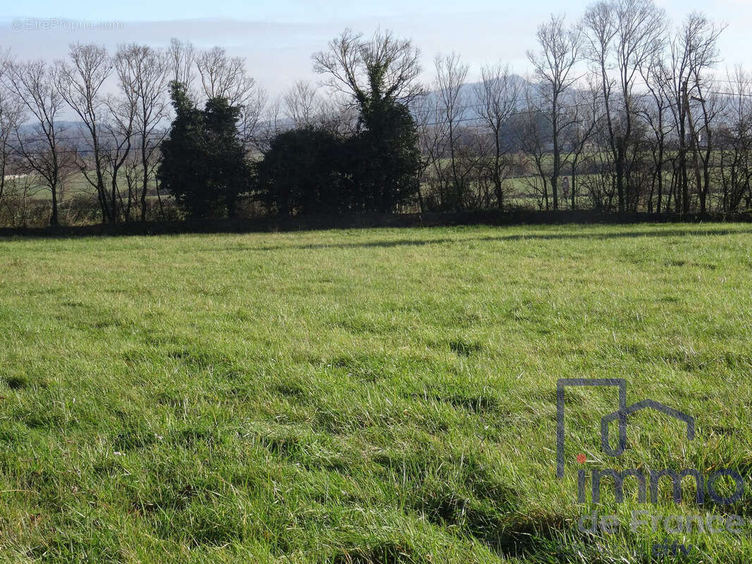 Terrain 1945 m² à Montbrison  - photo 3