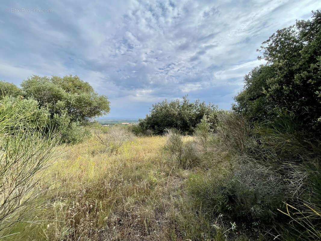 Terrain à SAINT-THIBERY
