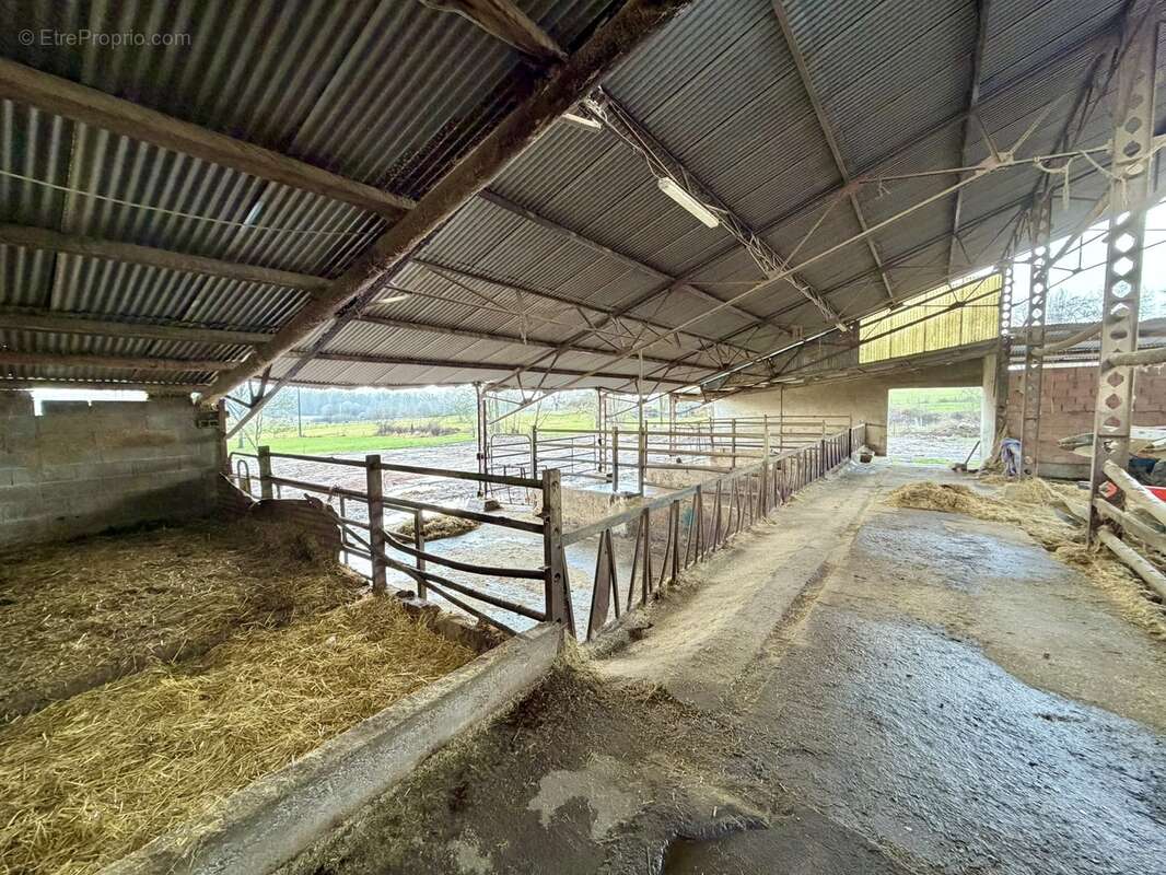 Maison à FENNEVILLER