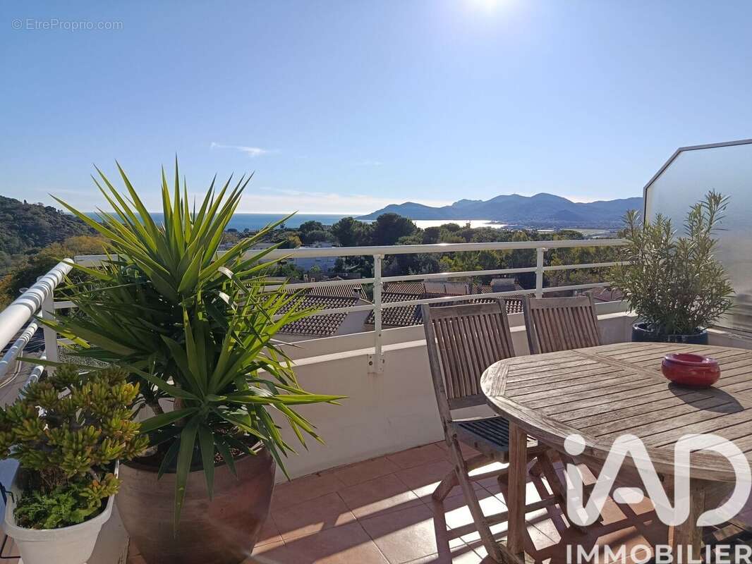 Photo 3 - Appartement à LE CANNET