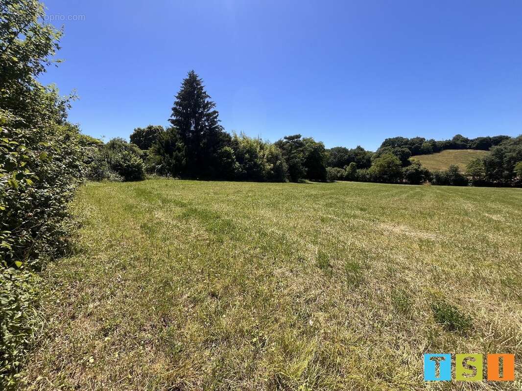 Terrain de 2918 m² à vendre - photo 3