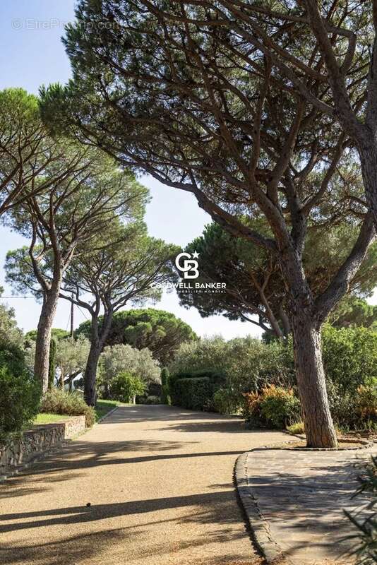 Maison à RAMATUELLE