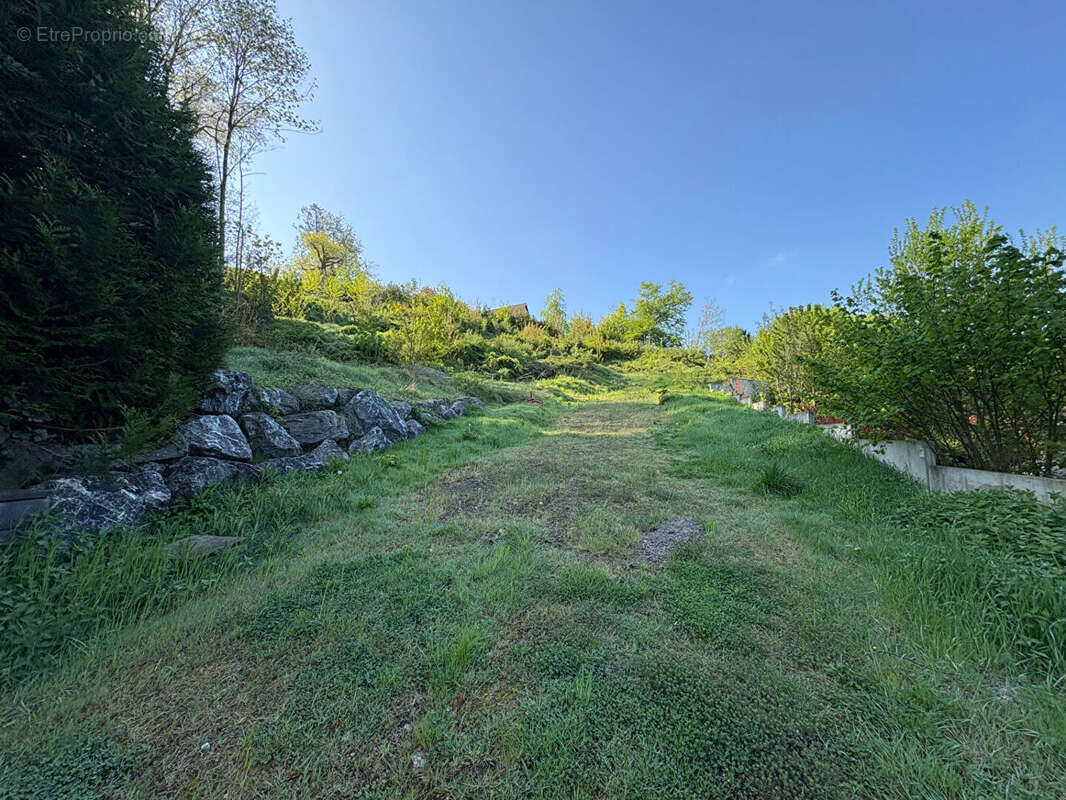 Terrain Saint Avold 3801 m2 - photo 3
