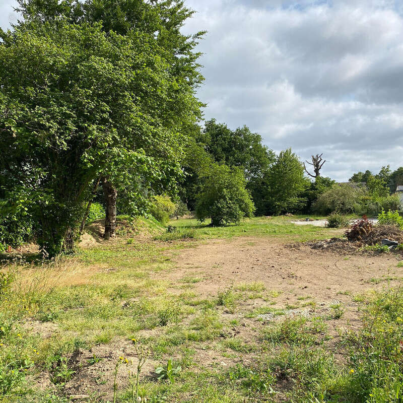 Maison à GRANDCHAMPS-DES-FONTAINES