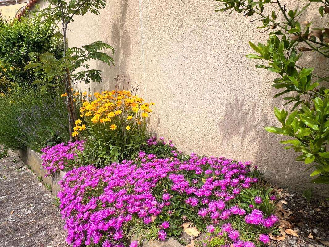 Appartement à FRANCHEVILLE