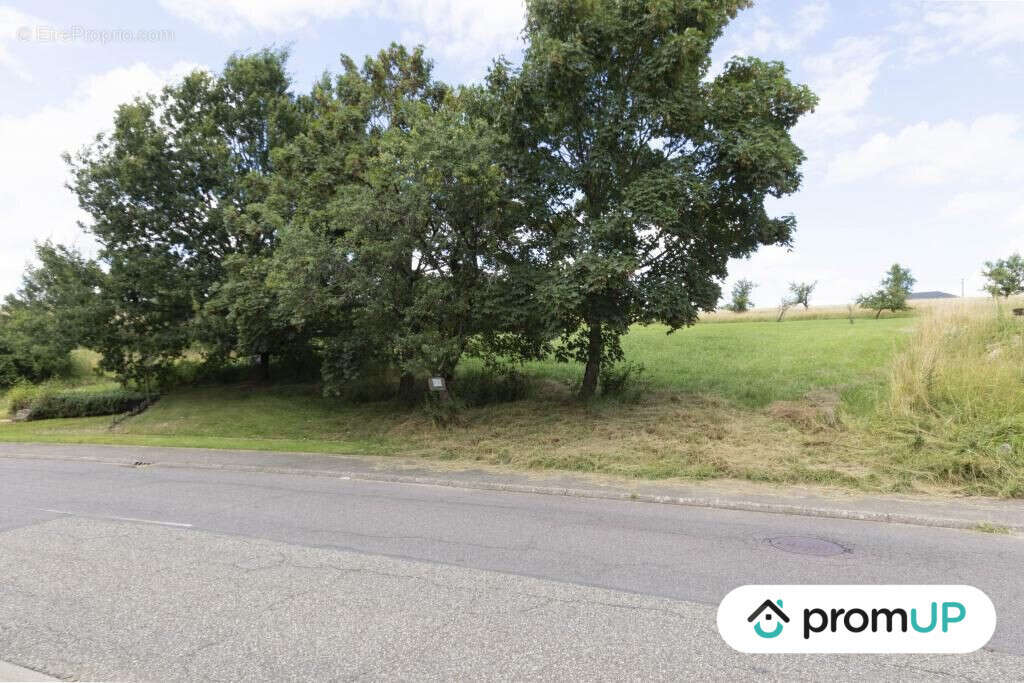 Terrain à GUENVILLER