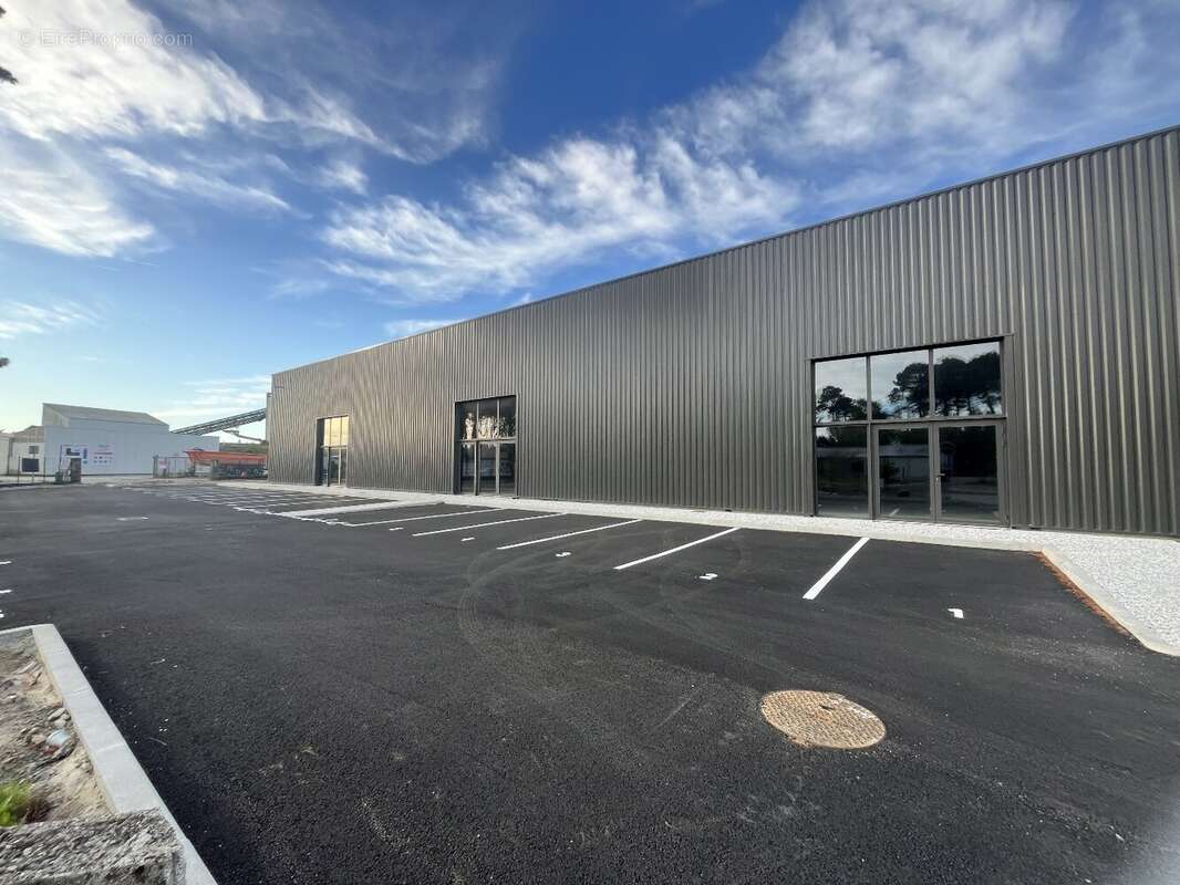 Commerce à BENESSE-MAREMNE