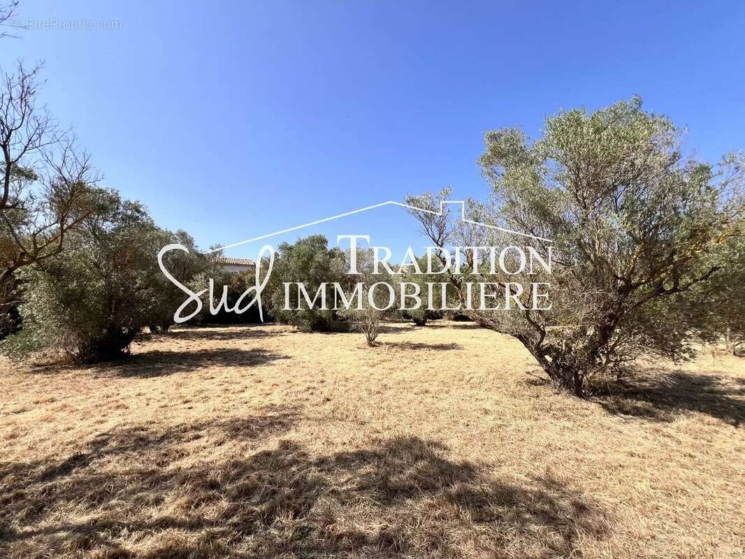 Terrain à PARADOU