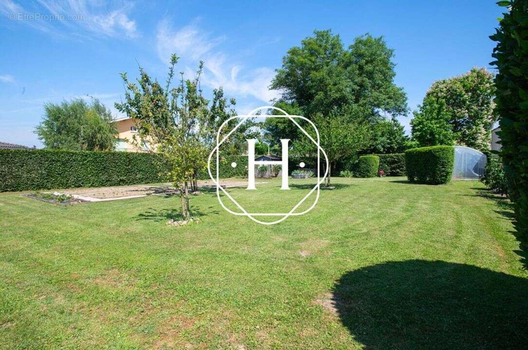 Terrain à SAINT-DENIS-LES-BOURG