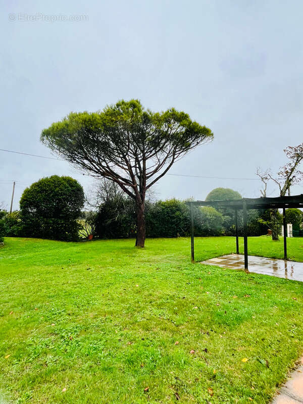 MAISON T5 / 6 avec sous sol total et piscine - photo 34