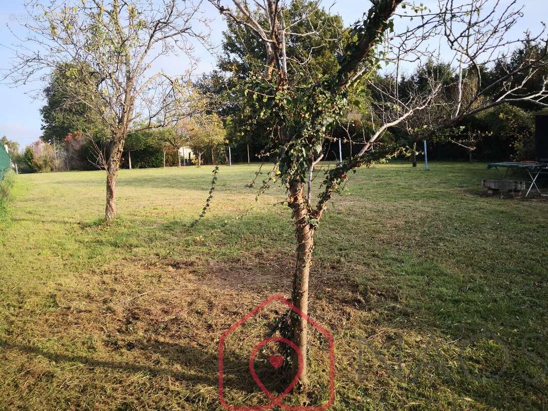 Terrain à FONTENAY-SUR-LOING