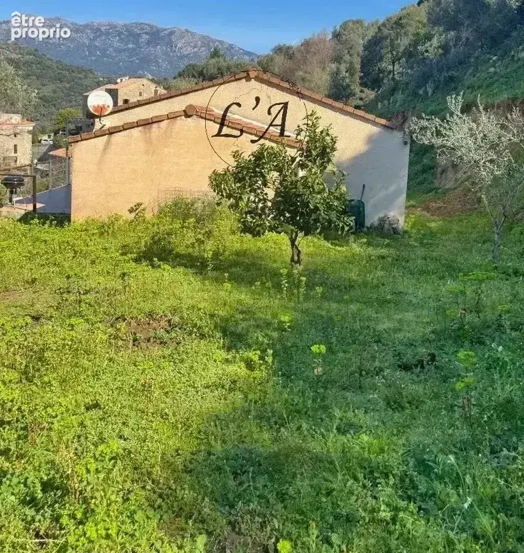 Fozzano – entre montagne et mer, maison avec vue sur le golfe du valinco - photo 13
