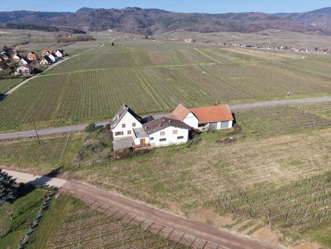 Maison à ZELLENBERG