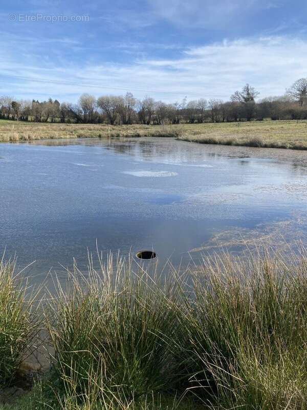 Terrain à NEUVIC-ENTIER