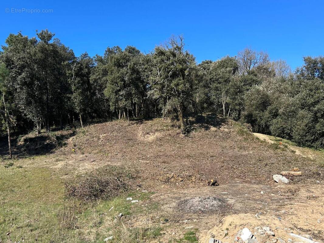 Photo 1 - Terrain à LONGEVILLE-SUR-MER