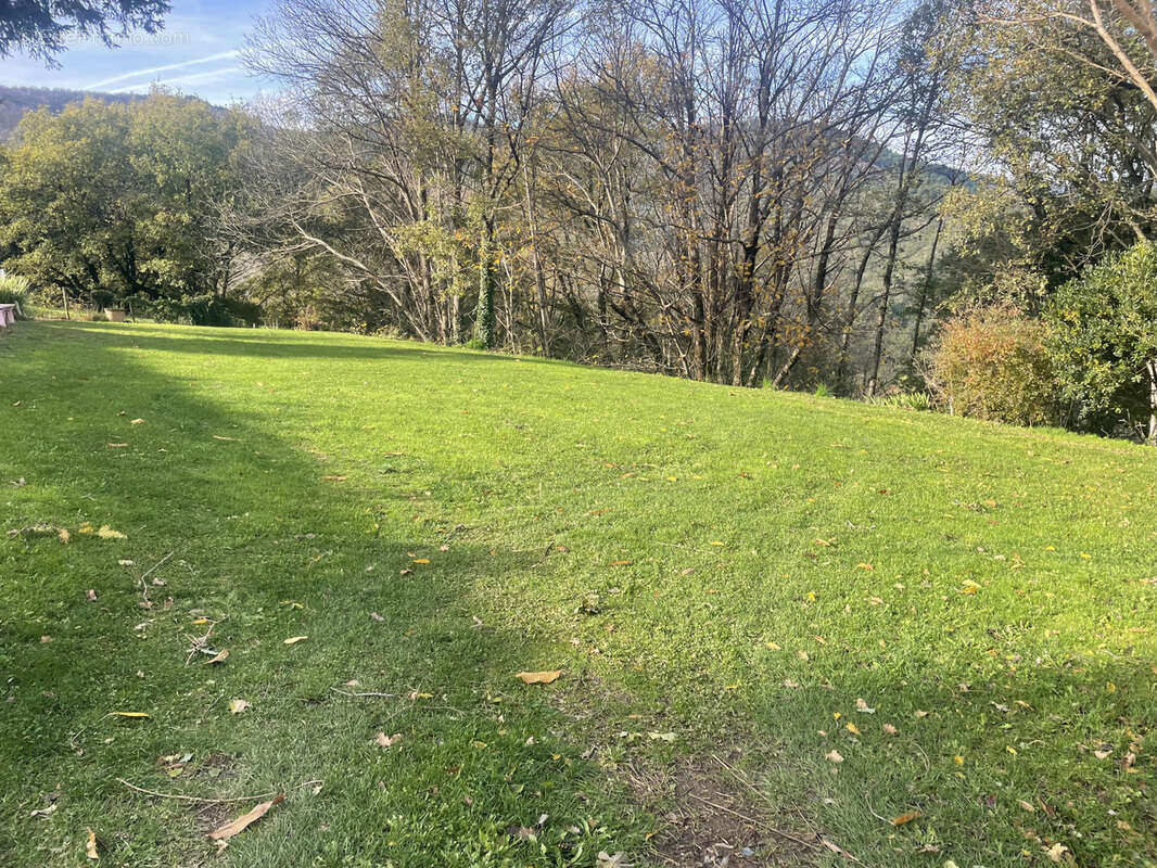 Propriété avec 2 habitations sur 4623 m2 de terrain avec piscine - photo 6