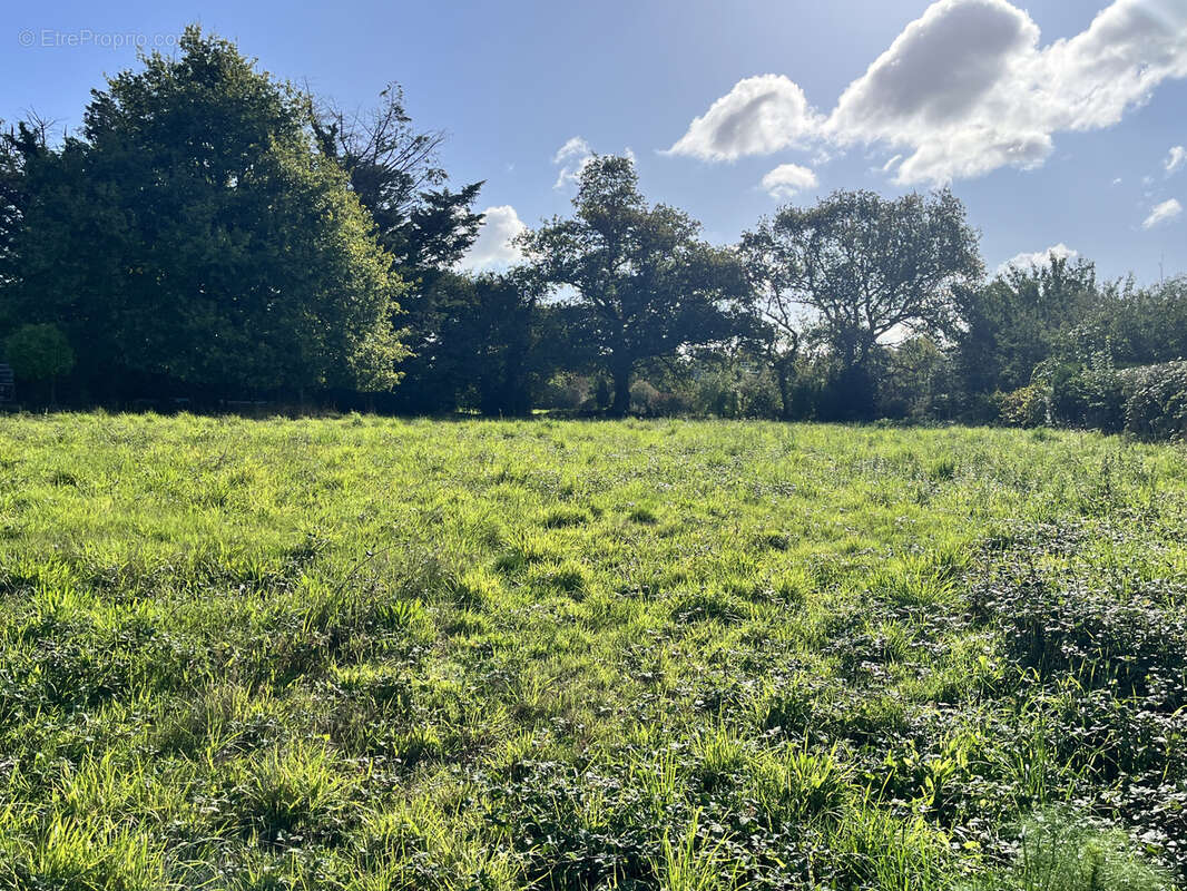 Terrain à VANNES
