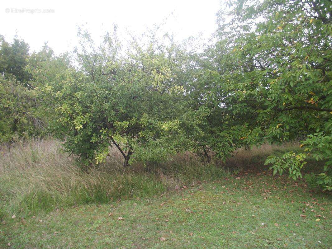 Terrain constructible - photo 2