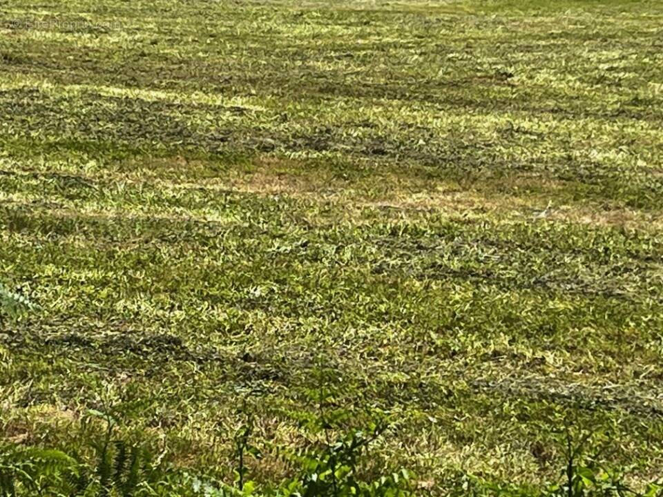 Terrain à TESSON