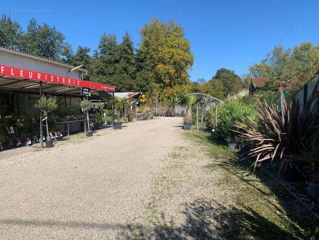 Photo 9 - Commerce à LESPARRE-MEDOC