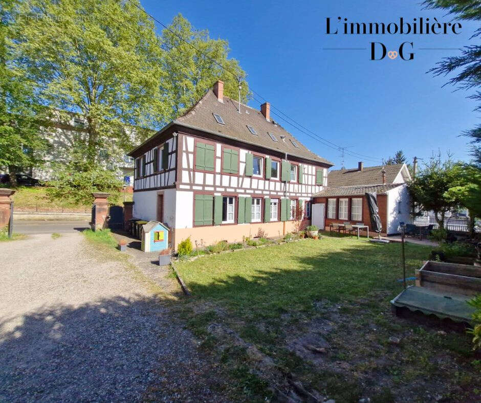 Appartement à BISCHWILLER