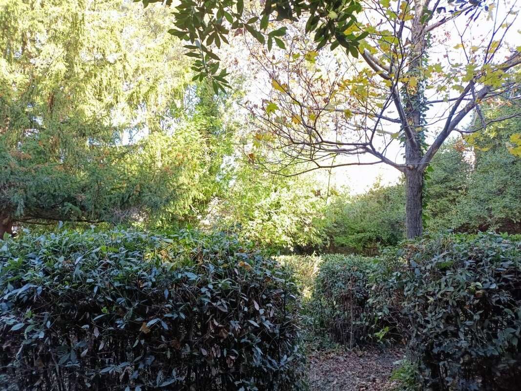 Maison à SAINT-GEORGES-D'ORQUES