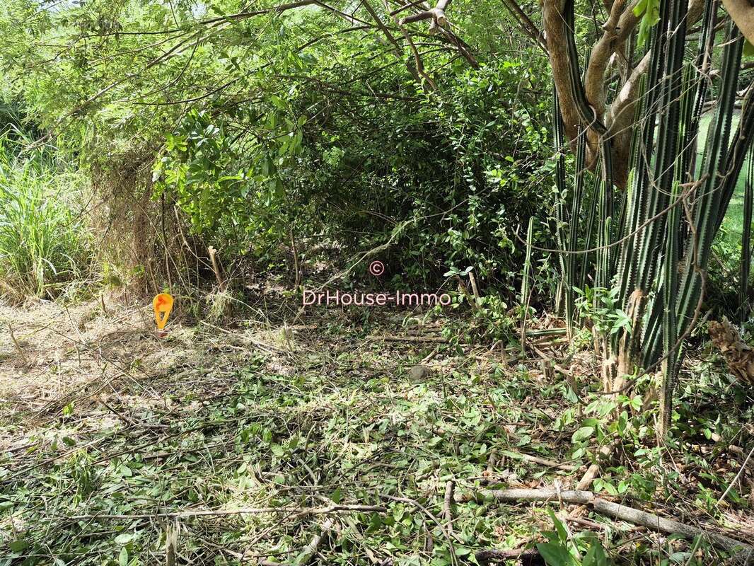 Terrain à LE VAUCLIN