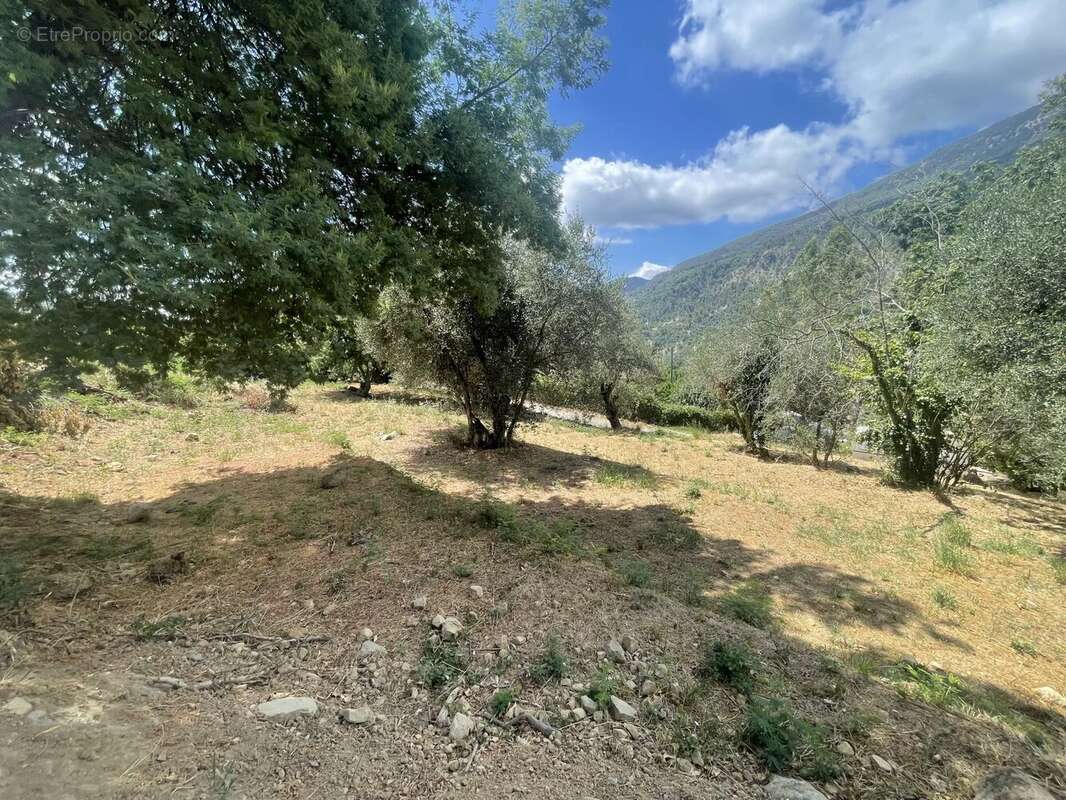 Terrain à COARAZE