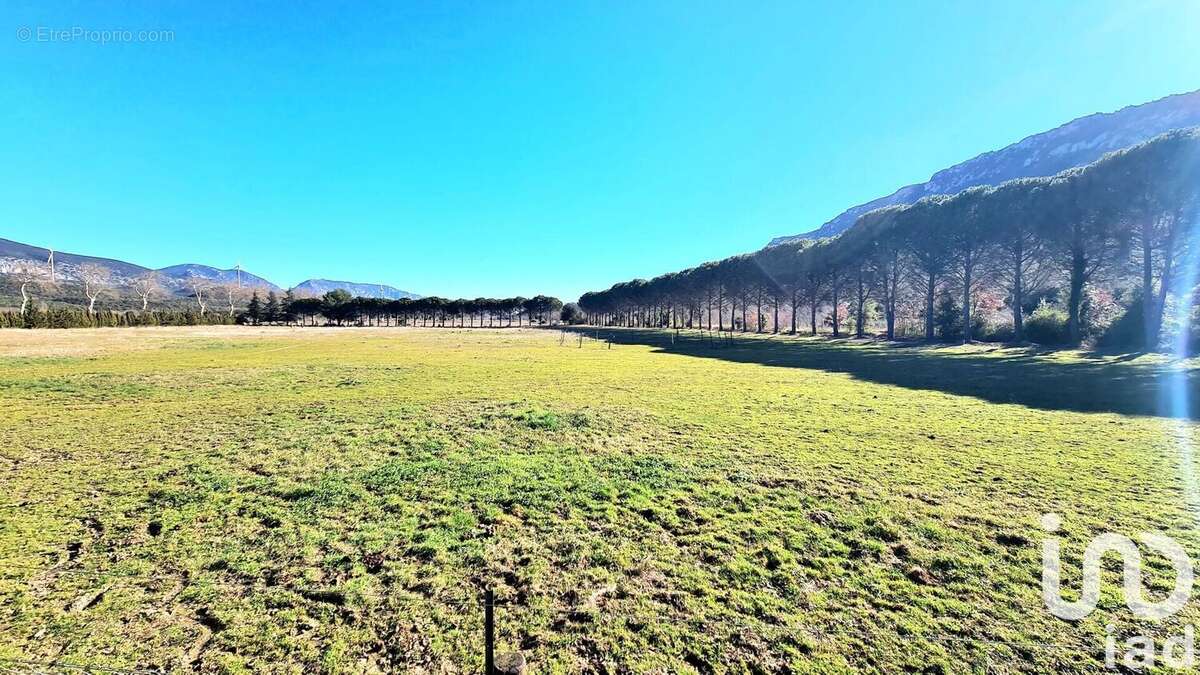 Photo 2 - Maison à CAUDIES-DE-FENOUILLEDES