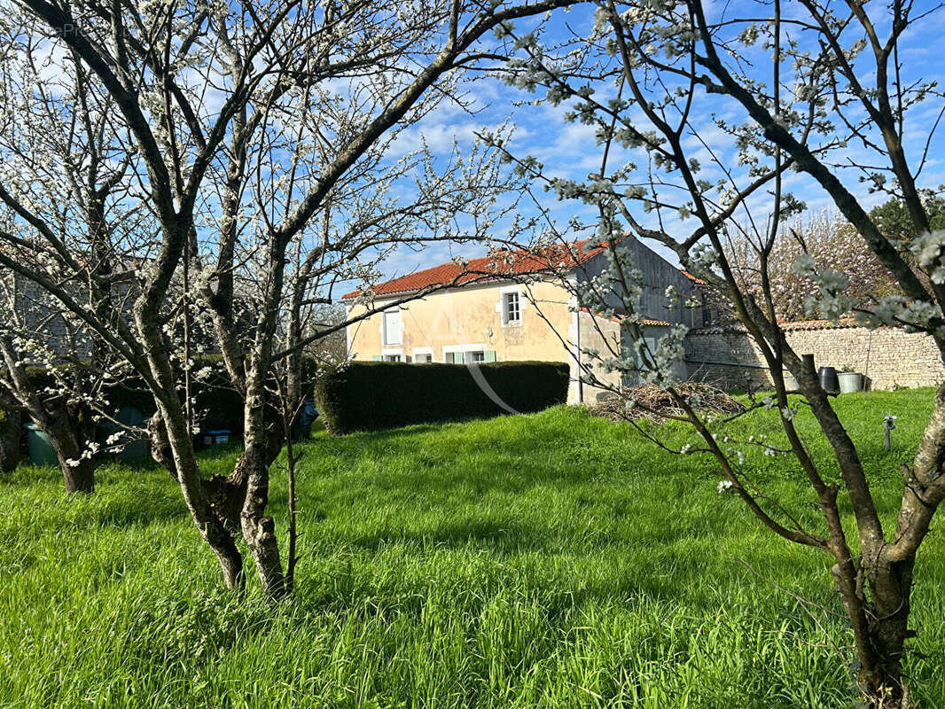 Maison à LE LANGON