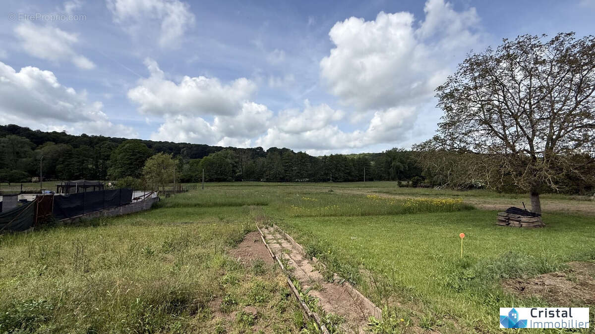 Terrain à INGLANGE