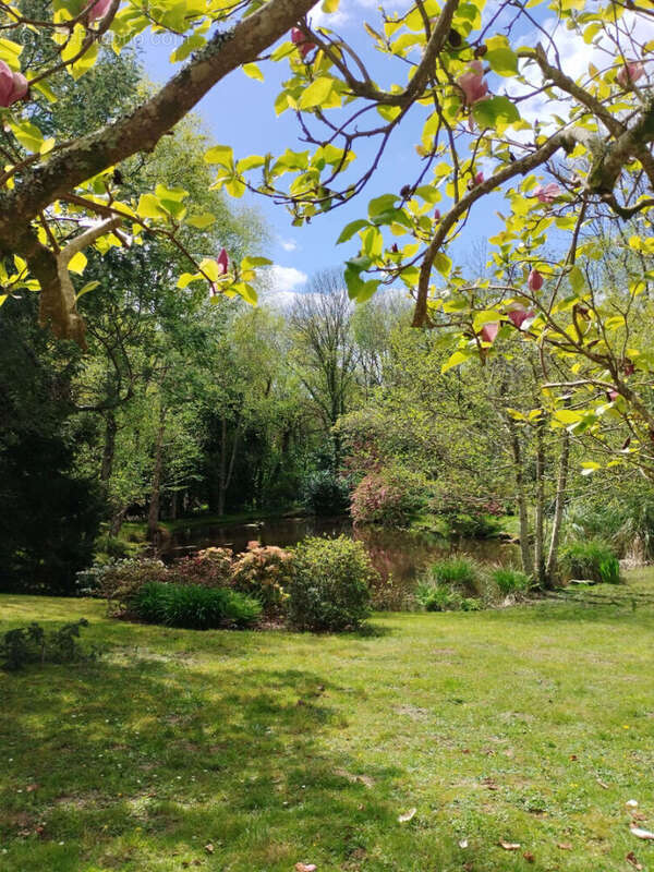 Maison à MOELAN-SUR-MER