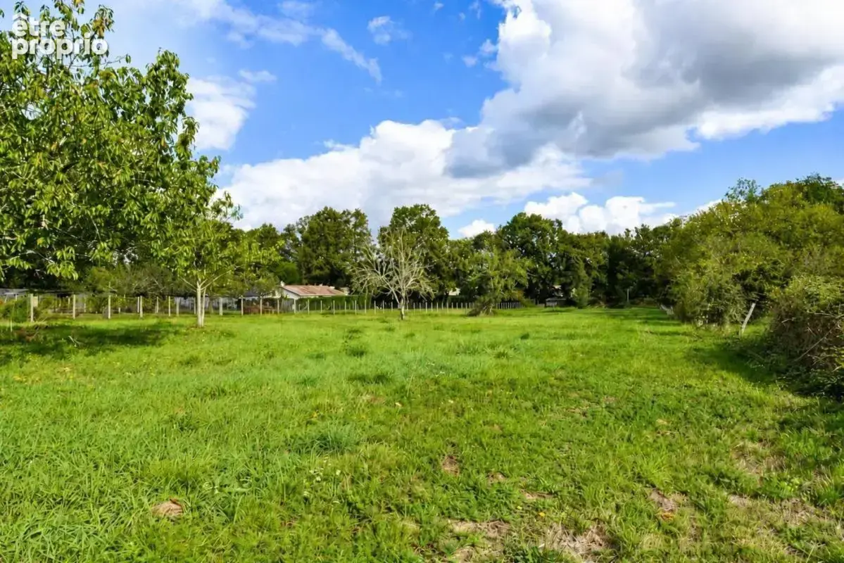 Saint-Seurin-sur-l'Isle : maison  99 m² + dépendances sur 6660 m² de terrain - photo 2