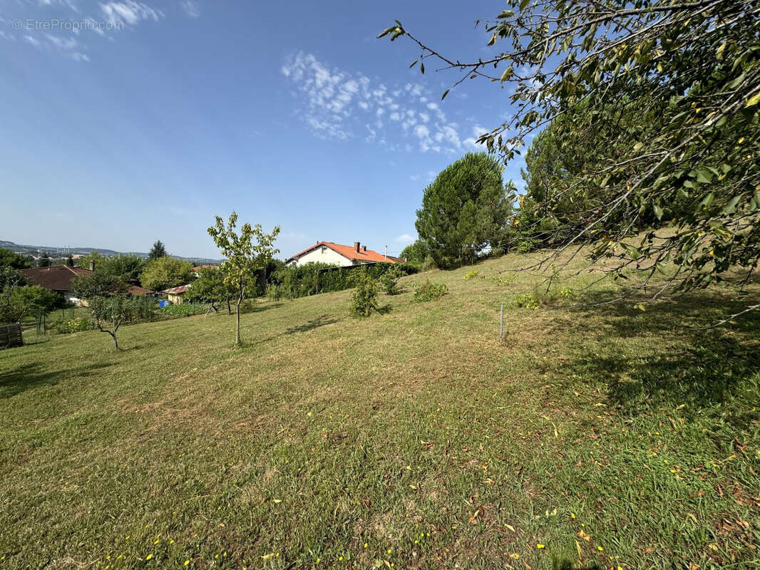 Terrain à ARTHES