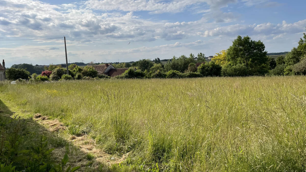 Terrain à COUSSAY-LES-BOIS