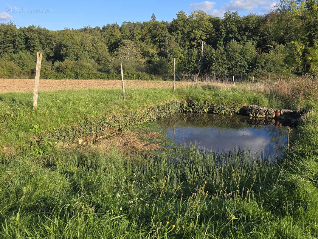 Maison à VILLAMBLARD